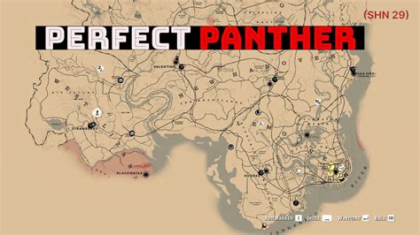 panther pelt rdr2|More.